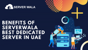 Benefits of Serverwala Best Dedicated Server in UAE 1